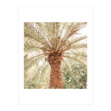Tropical 2 (Print Only) thumbnail