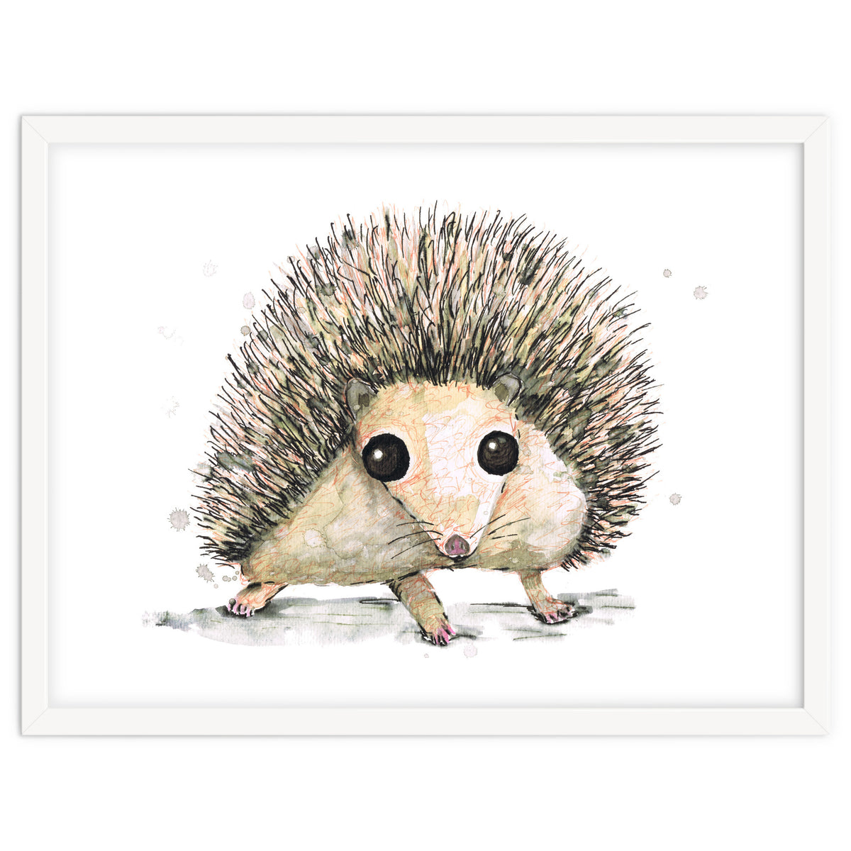 Hedgehog
