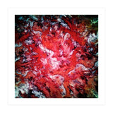 Red Navigation Light (Print Only) thumbnail