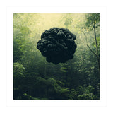 Blacks (Print Only) thumbnail