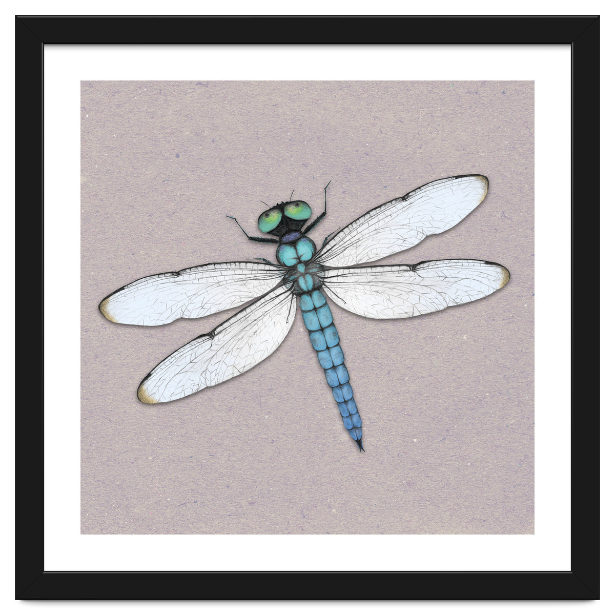 Blue dragonfly
