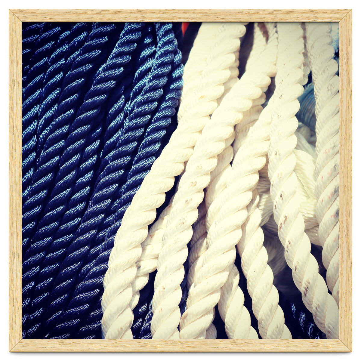 Blue and white fishing rope