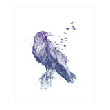 Born To Be Free (Print Only) thumbnail