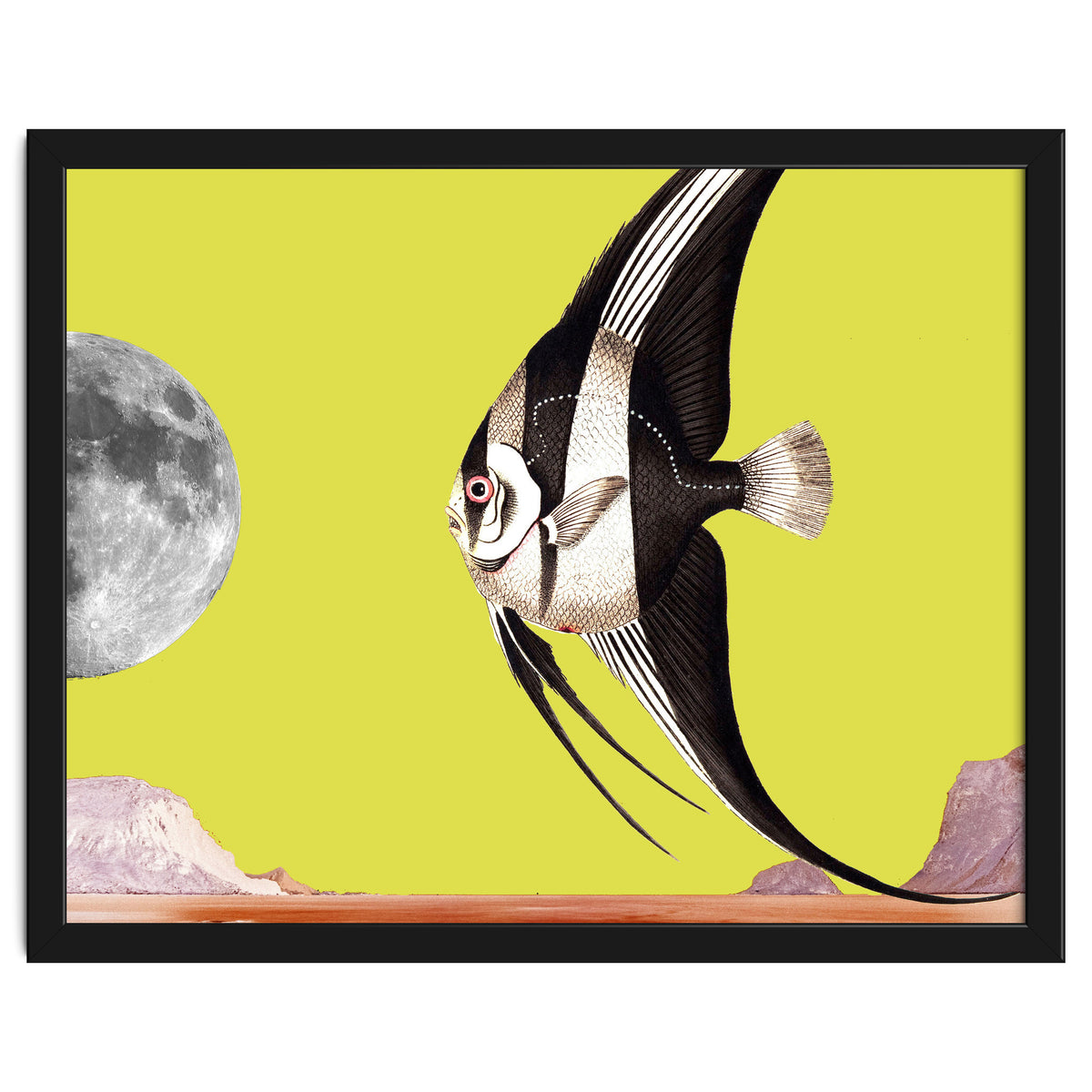 Plenty of fish in the sea yellow