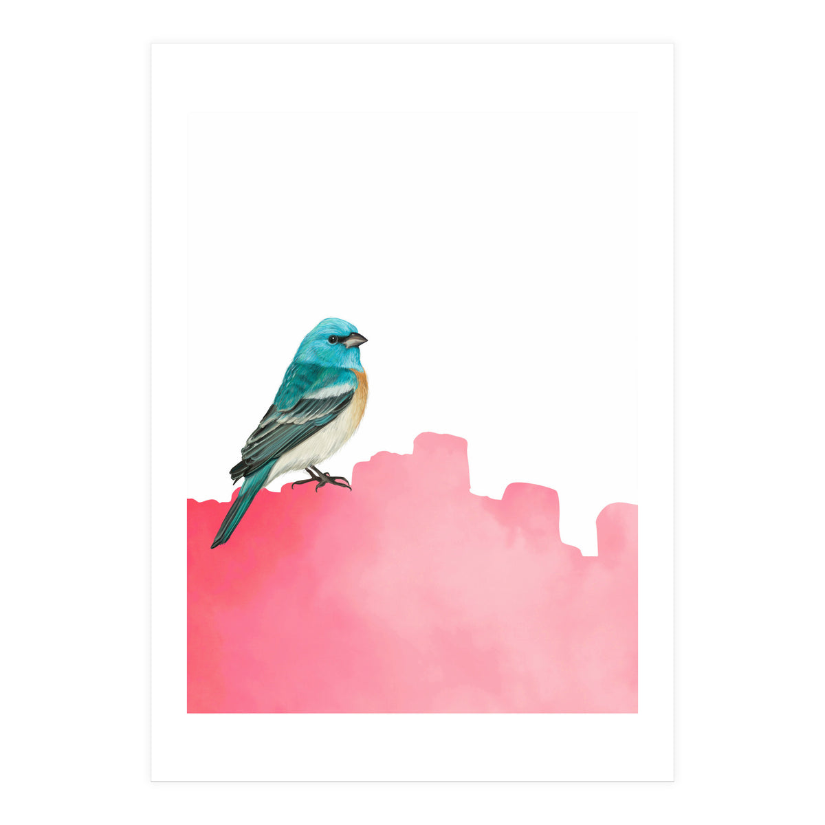 Bird Pink (Print Only)