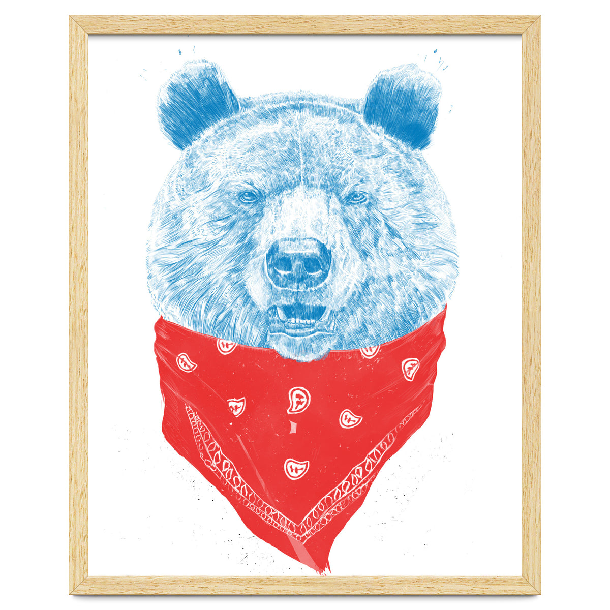 Wild Bear Color Version