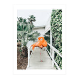 Flamingo Beach House (Print Only) thumbnail