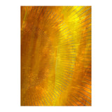 Sunset In Colors 2 (Print Only) thumbnail