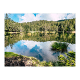 Calm (Print Only) thumbnail