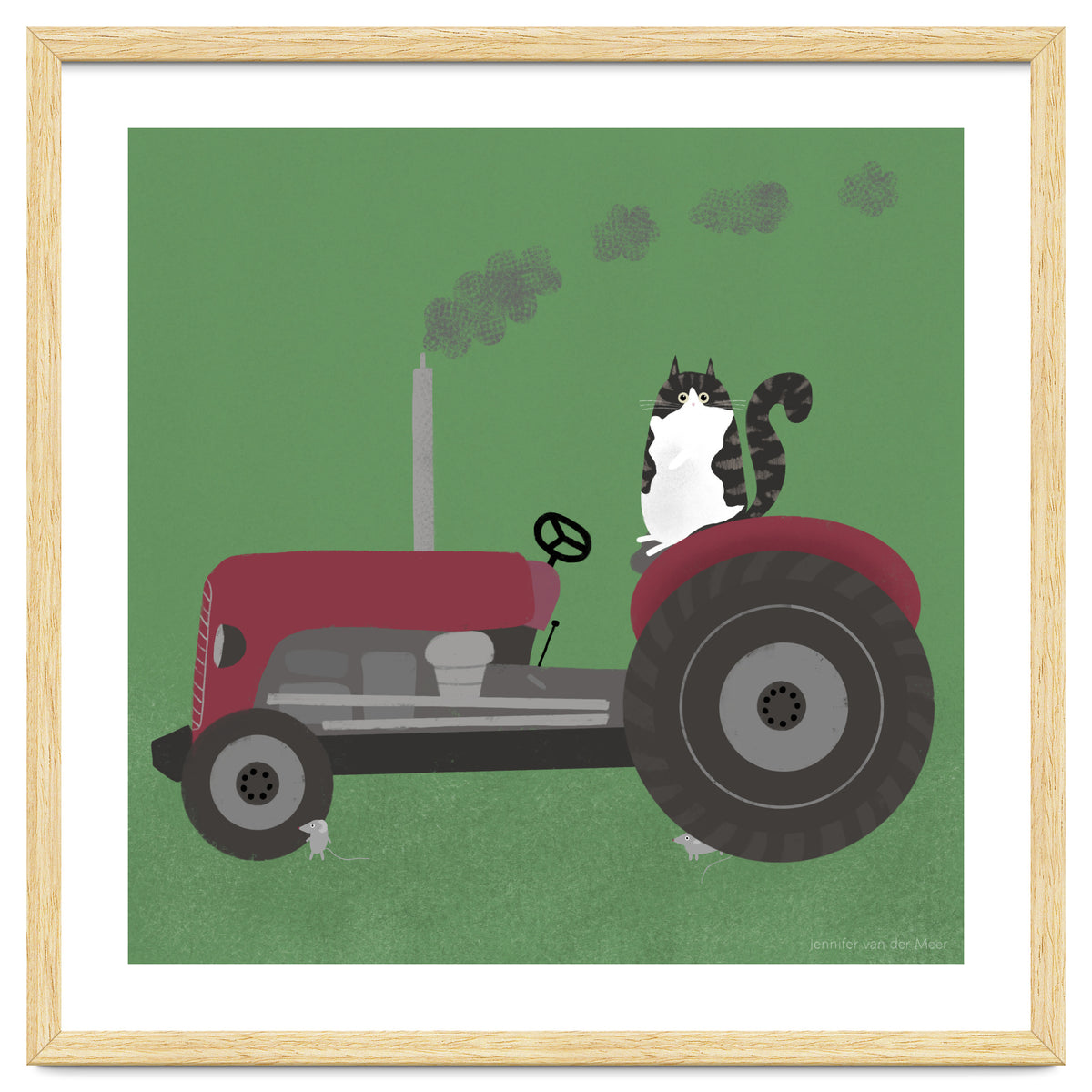 Cat 84: The farm cat