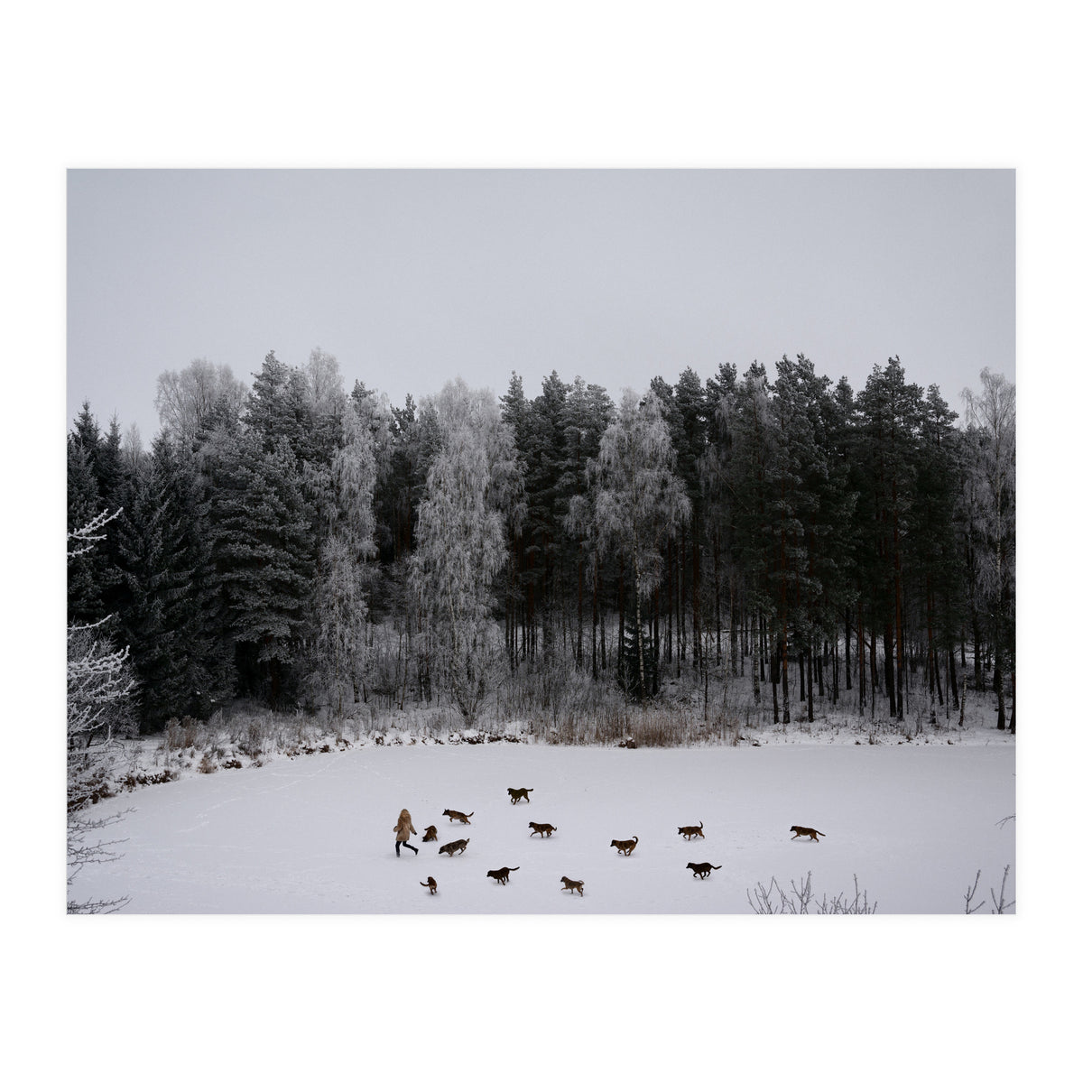 Wild Tales (Print Only)