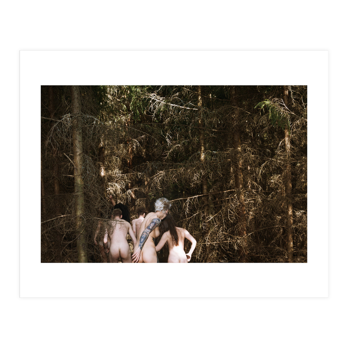 Born Free (Print Only)