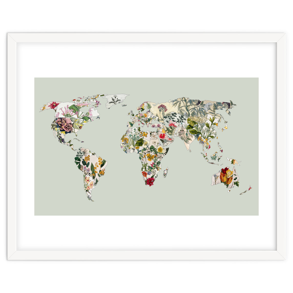 Vintage Botanical Map - Green