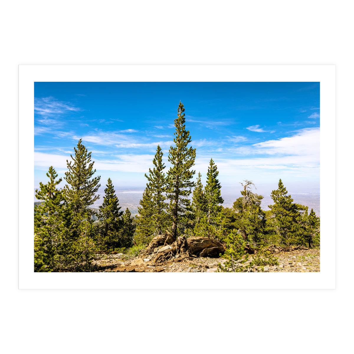 Pine Mountain (Print Only)