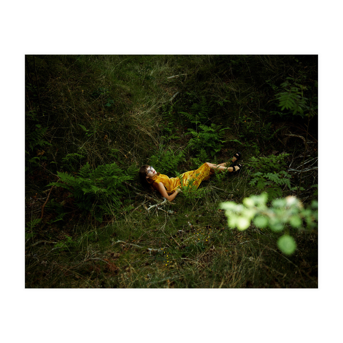 Did You Miss Me? (Print Only)