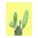 Cactus Yellow Background (Print Only) thumbnail