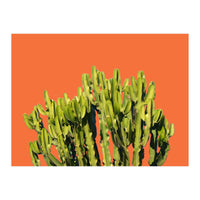 Bold Cactus (Print Only)