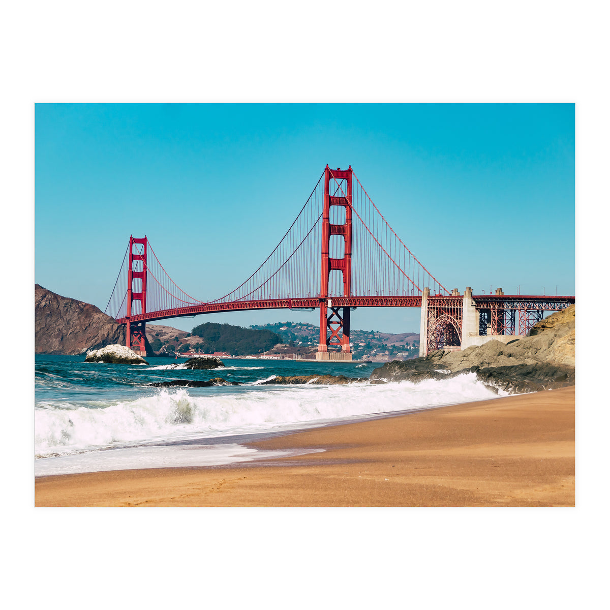 Amaranth (Print Only)