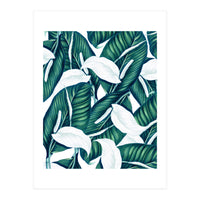 Tropical Winter (Print Only)