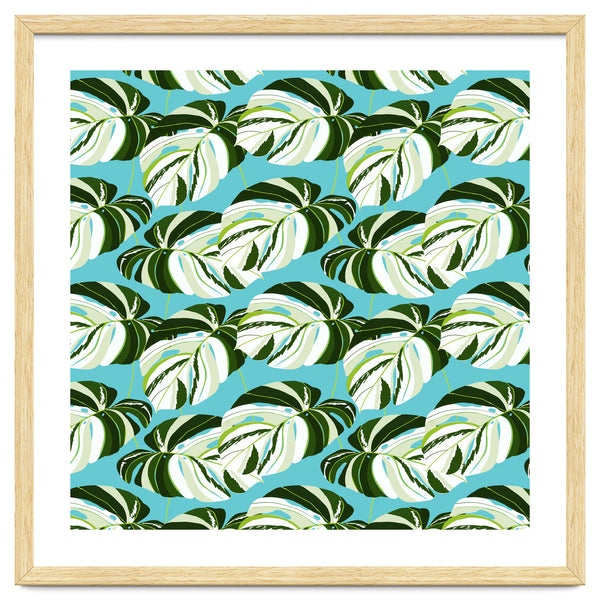 Summer Variegated Monstera | Rainforest Jungle botanical Plants Illustration | Boho Tropical Nature