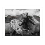 Horses In The Sky (Print Only) thumbnail