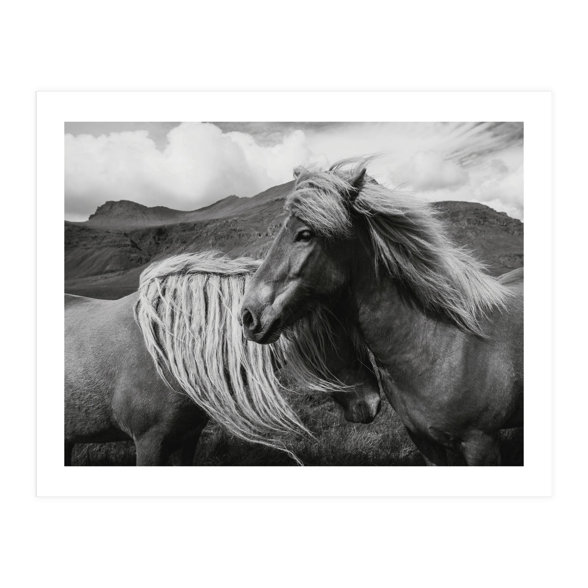Horses In The Sky (Print Only)