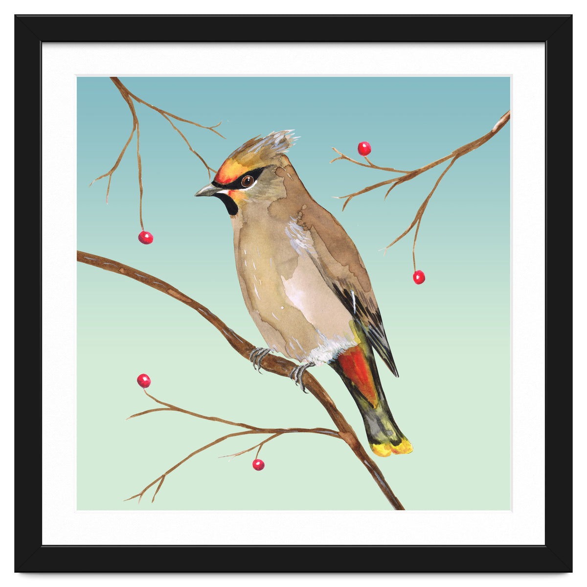 Bohemian waxwing