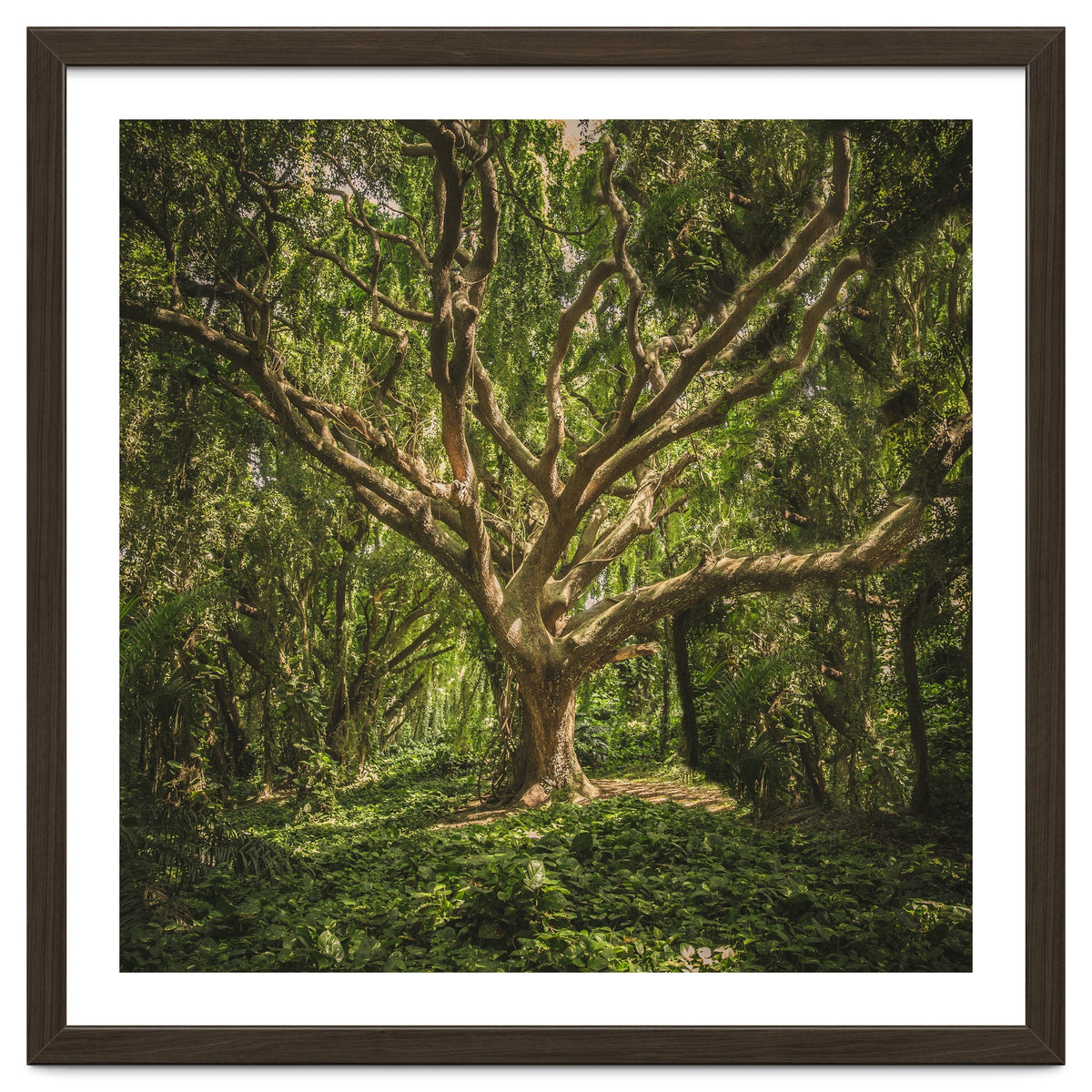 Spirits inside the wood