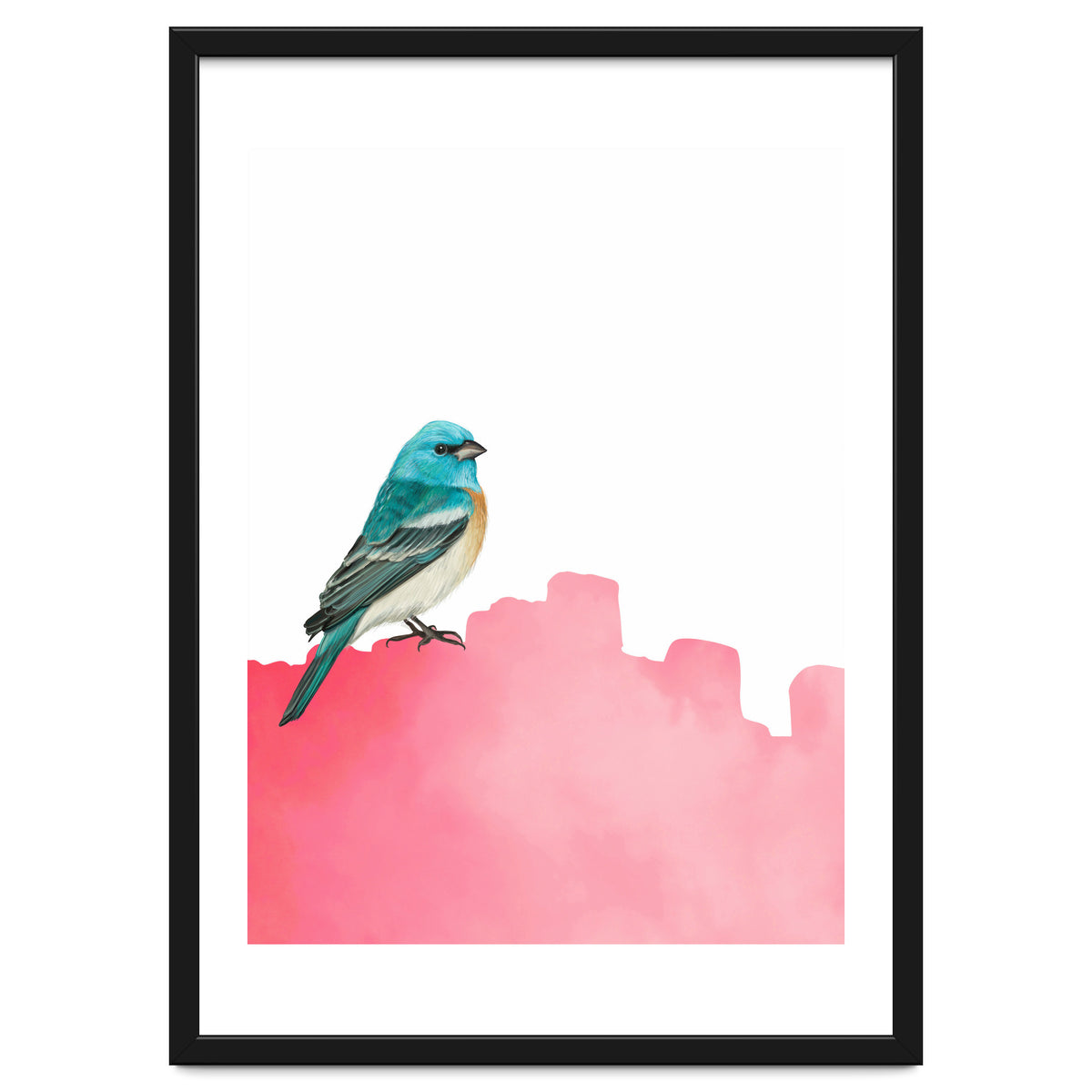 Bird Pink