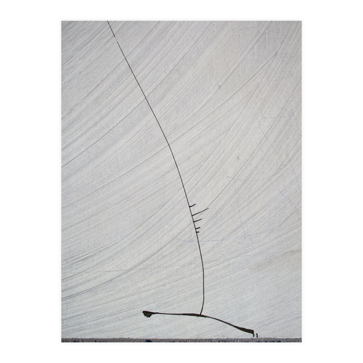 Abstract #1 (Print Only)