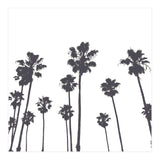 Palms & Sunset-Minimal B&W (Print Only) thumbnail