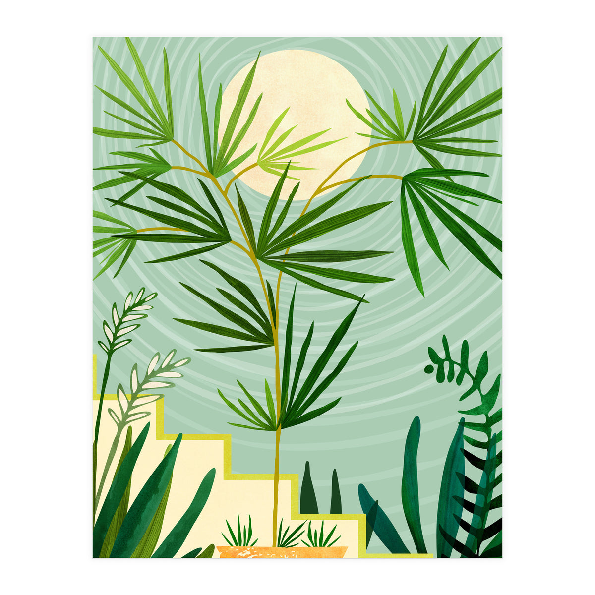 Spring Desert Night (Print Only)