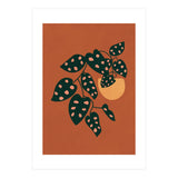 Monstera Adansonii (Print Only) thumbnail