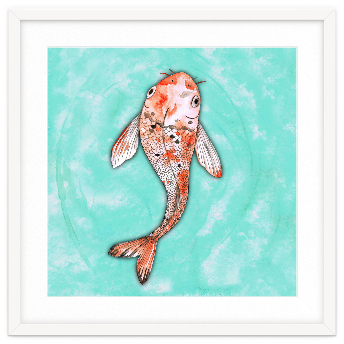 Koi fish