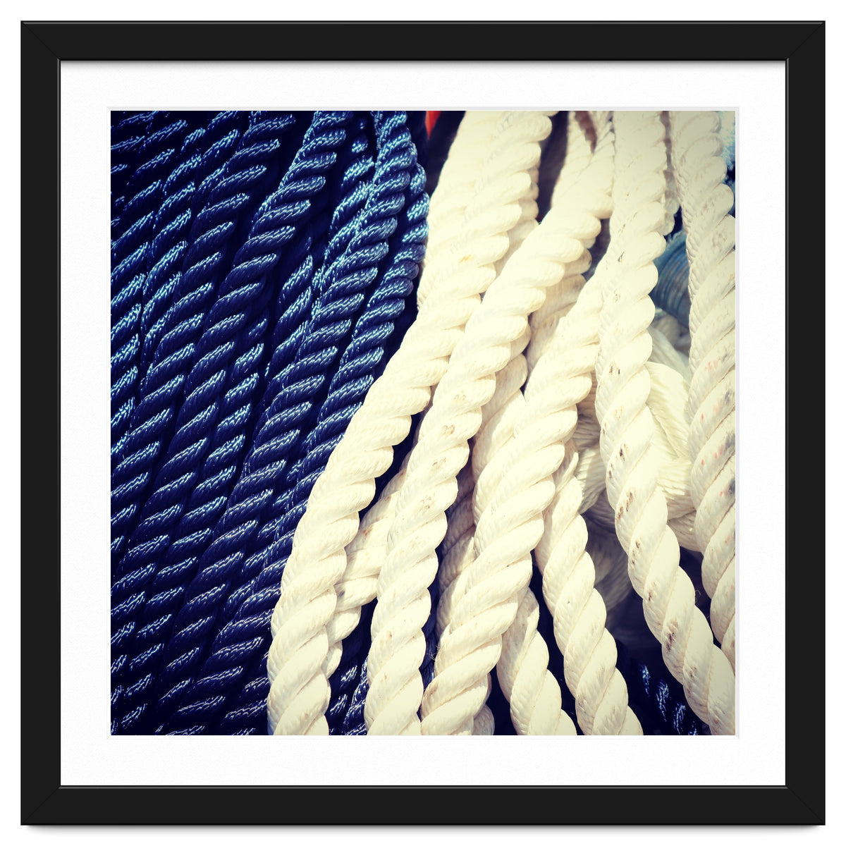 Blue and white fishing rope