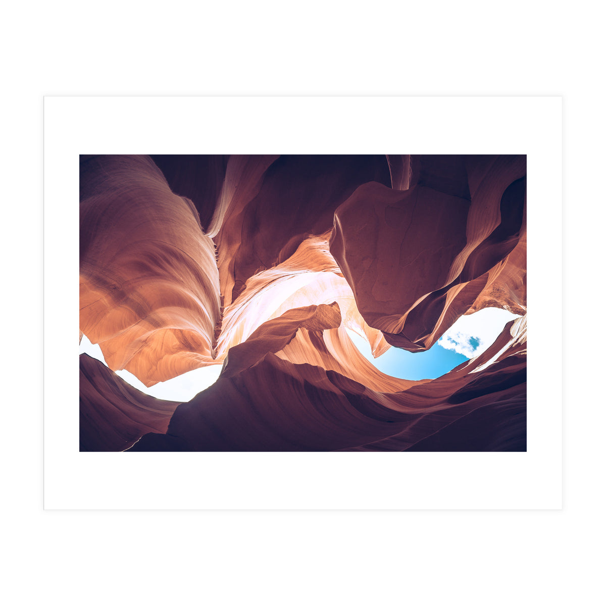 Twisted (Print Only)