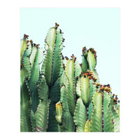 Cactus Love (Print Only)
