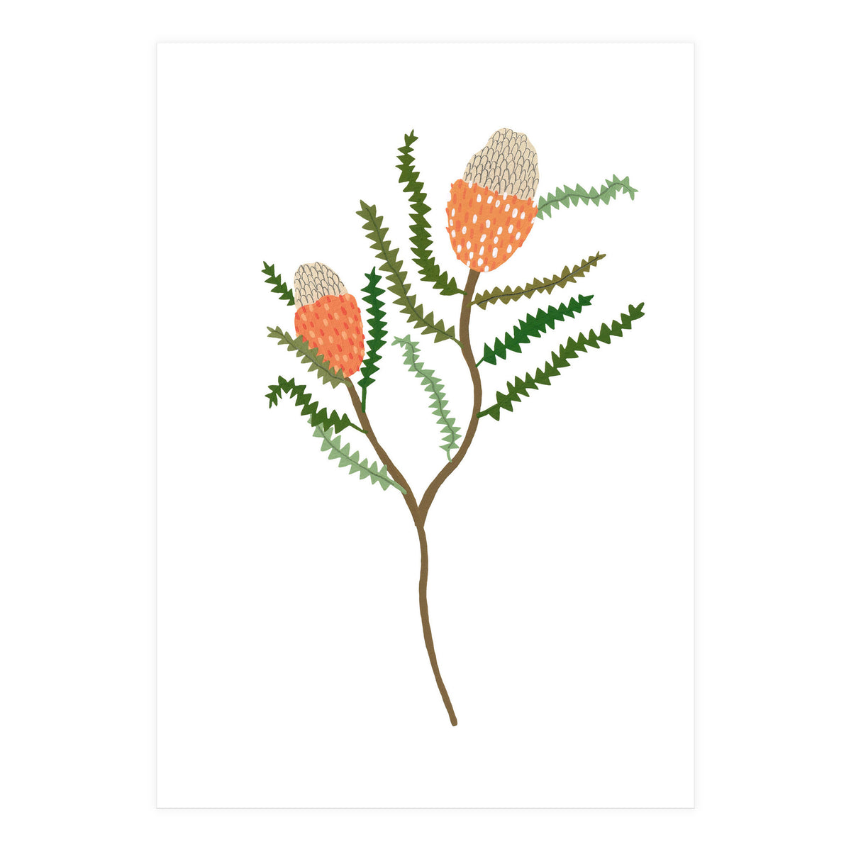 Banksia Flowers (Print Only)