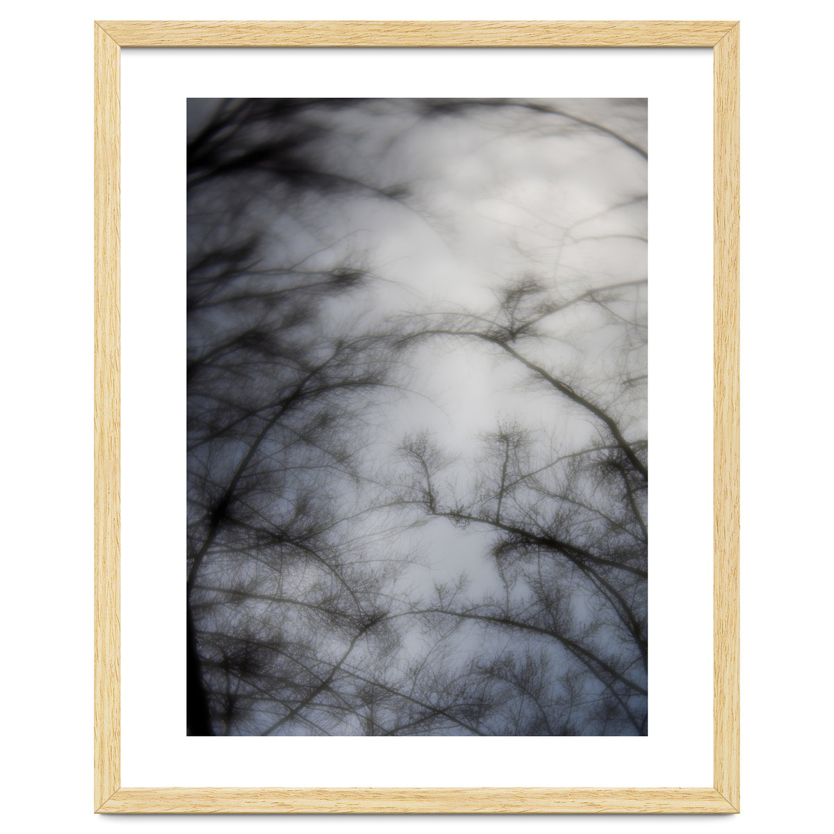 Forgotten Memories of Summer #16