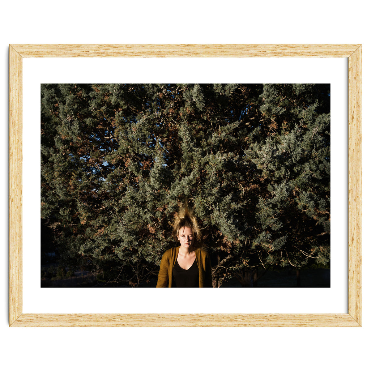 Transition from Summer to Winter