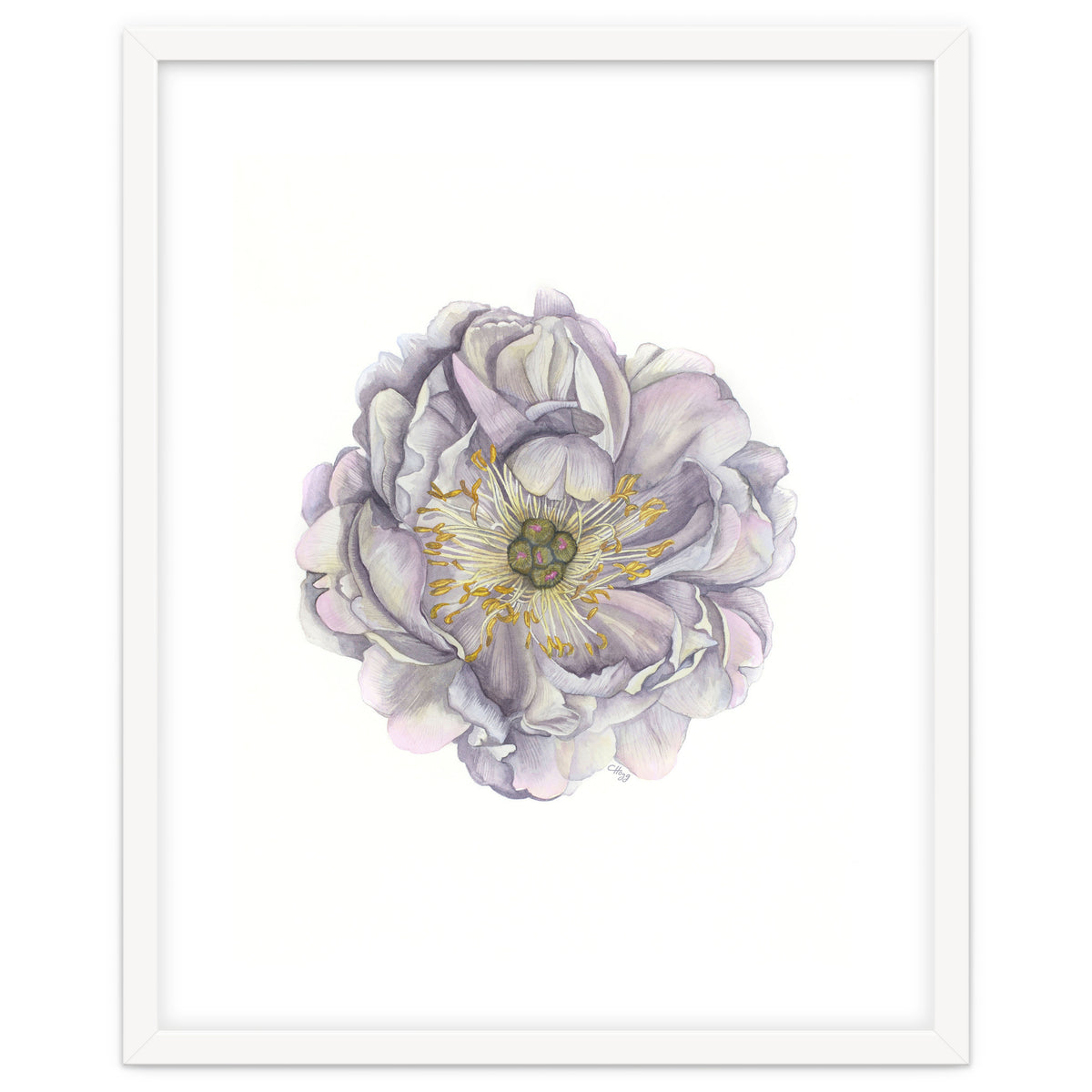 A Peony In Grey Std