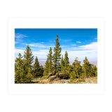 Pine Mountain (Print Only) thumbnail