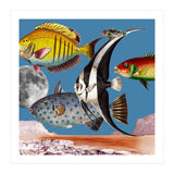 Fish World Blue (Print Only) thumbnail