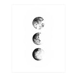 Moon Phases (Print Only) thumbnail
