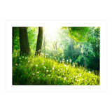 Nature (Print Only) thumbnail