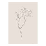 Flower 01 (Print Only) thumbnail