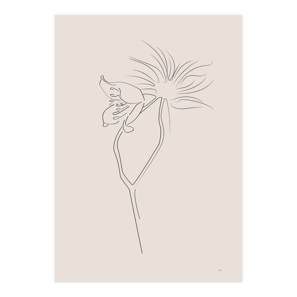 Flower 01 (Print Only)