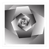 Monochrome Rose Spiral  (Print Only) thumbnail