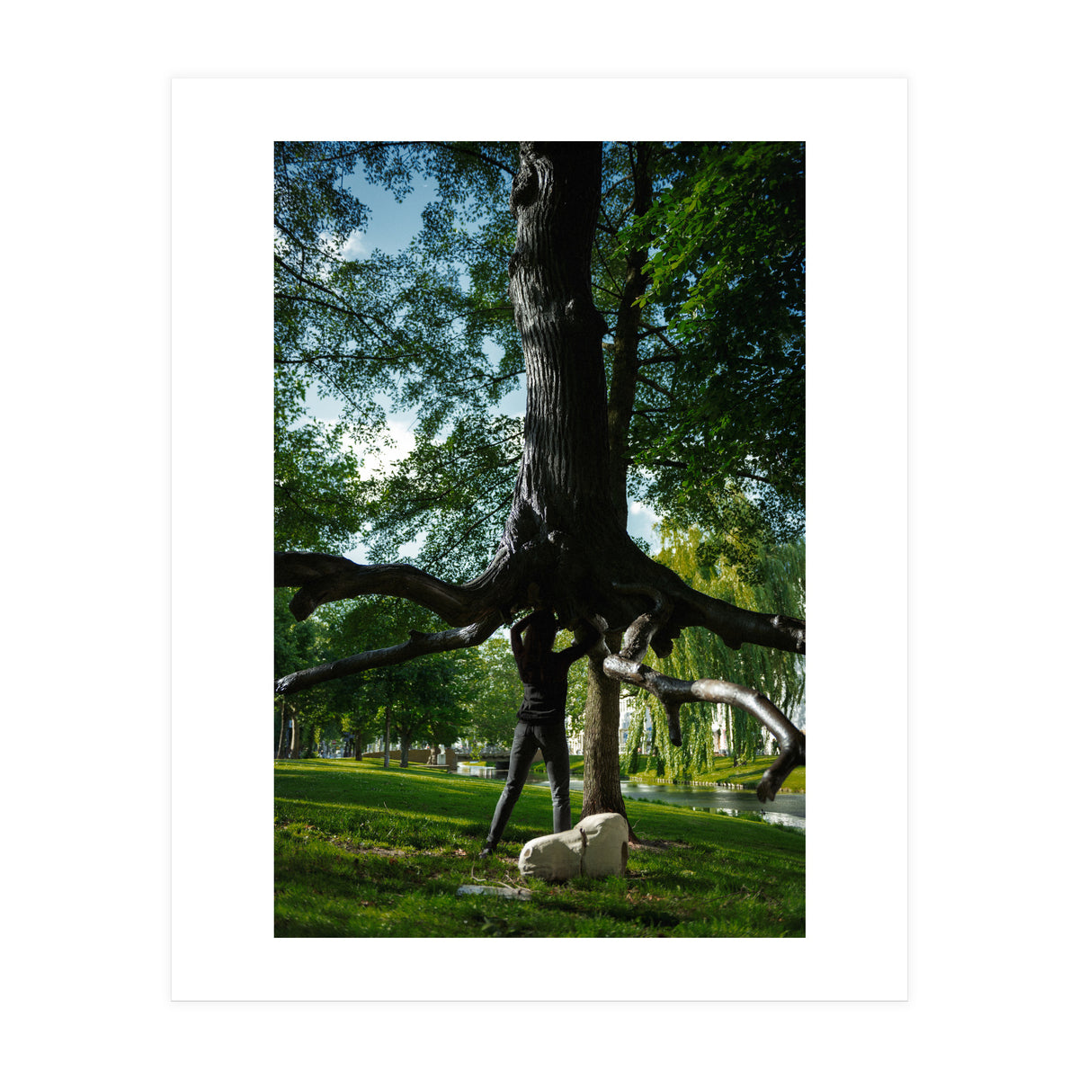The Devil's Tree (Print Only)
