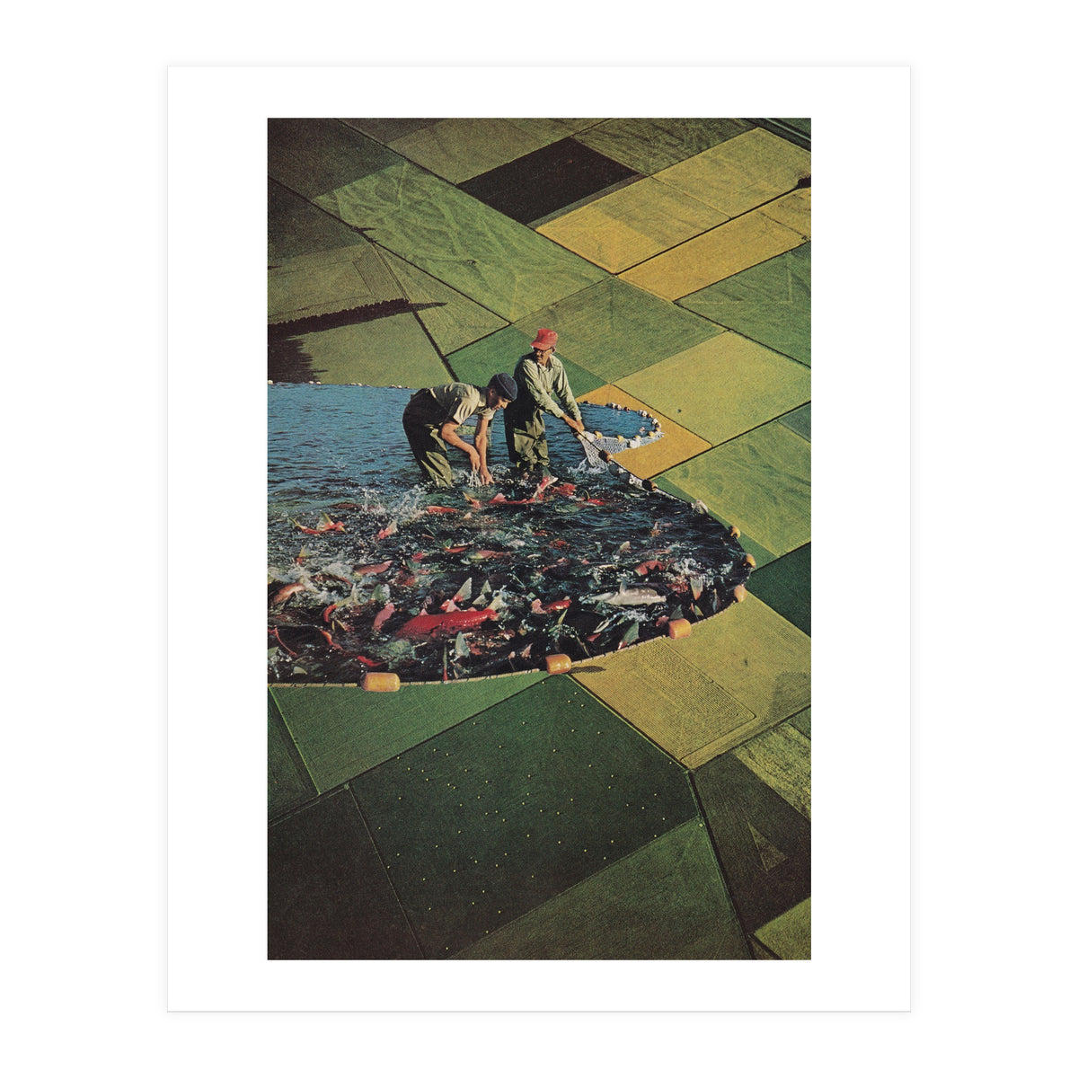 Salmon Farm (Print Only)